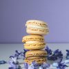 Maple Bacon Caramel - Image 6